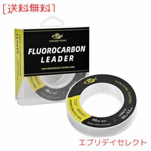 SF 100％ フロロカーボン リーダー 釣り糸 クリア ライン 塩水 淡水用 40LB