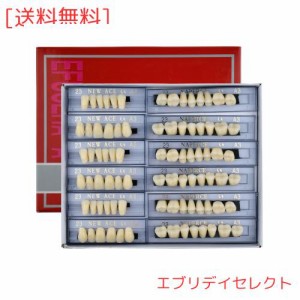 WINDI 入れ歯ケア 168個/セット 歯科用アクリル 樹脂 義歯キット ハロウィンホラーの小道具 ホワイト義歯23 A3 アップ＆ダウン歯科