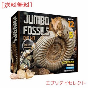 XXTOYS 化石 発掘 キット 化石標本 クリスマス 天然化石 コレクション 化石発掘キット サメの歯 発掘おもちゃ 12個セット 古生物学 子供 