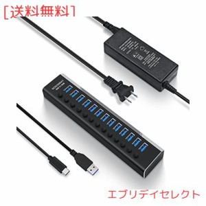 ROSONWAY USB ハブ 3.1 Gen2 10Gbps 13ポートアルミ製 72W USB HUB セルフパワー USBケーブルとType Cケーブル 付き 12V/6A ACアダプタ 