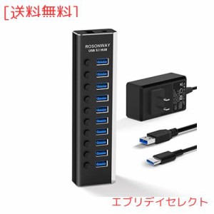 ROSONWAY USB ハブ 3.1 Gen2 10Gbps 10ポートアルミ製 36W USB HUB セルフパワー USBケーブルとType Cケーブル 付き 12V/3A ACアダプタ 