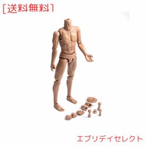 12インチ男性兵隊の体型モデル 筋肉男性ボディモデル 1/6ヘッドスカルプトに適合 アクションフィギュア本体