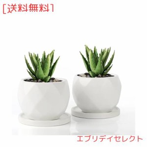 Umlaca 多肉植物 鉢 陶器 植木鉢 小型 底穴あり ミニ植木鉢 サボテン鉢 ミニ 植木鉢 おしゃれ 陶器製トレイ付き 鉢底ネット付き 2点セッ