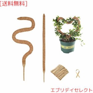 曲げられる モンステラ支柱 2点セット ココスティック 観葉植物 支柱 園芸支柱 植物 ガーデニング用 花ささえ 結束線 結束バンド ココナ