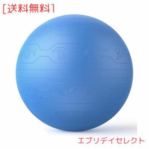 PROIRON バランスボール 65cm ばらんすぼーる トレーニングガイドパターン付き 厚い ジムボール バランスボール 椅子 スポーツ 耐荷重300