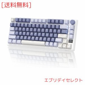 RK ROYAL KLUDGE M75メカニカルキーボード、2.4GHzワイヤレス/ブルートゥース/USB-C有線英語配列ゲーミングキーボード75%、OLEDスマート