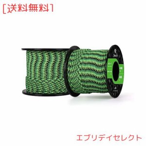 Abma Cord パラコード 2mm 1芯 耐荷重45kg 100%ナイロン 30M - ヤモリ