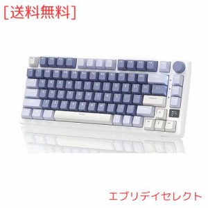 RK ROYAL KLUDGE M75メカニカルキーボード、2.4GHzワイヤレス/ブルートゥース/USB-C有線英語配列ゲーミングキーボード75%、OLEDスマート