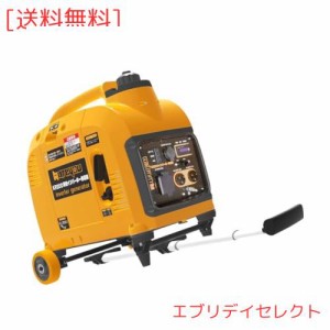 小型 発電機の通販｜au PAY マーケット