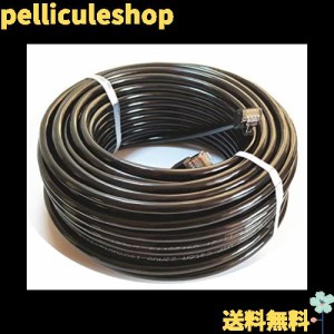 30M CAT6A 屋外 LANケーブル 屋外仕様 2重被覆 PoE対応 カテゴリー6A 屋外用 コネクタ付 インターネットケーブル 紫外線 難燃性 耐候性 