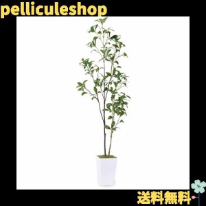 フェイクグリーン 人工観葉植物 【アセビ 馬酔木】高さ110cm 観葉樹 造花 光触媒 空気清浄 屋内 オフィス 鉢植え 植木