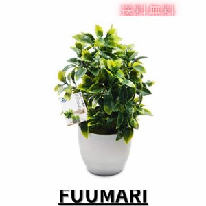 TOSSOW 人工観葉植物 フェイクグリーン 観葉植物 フェイク 造花 ミニ インテリア 贈り物