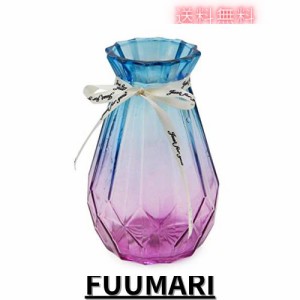 OFFIDIX 花瓶 ガラス製 フラワーベース おしゃれ 花器 水耕栽培 インテリア飾り ブルーとパープル