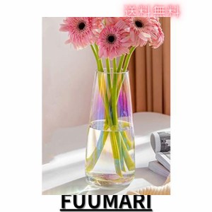 【Yuuming】ガラス フラワーベース 花器 花瓶 22cm (透明マルチカラー)