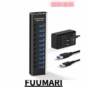 ROSONWAY USB ハブ 3.1 Gen2 10Gbps 10ポートアルミ製 36W USB HUB セルフパワー USBケーブルとType Cケーブル 付き 12V/3A ACアダプタ 