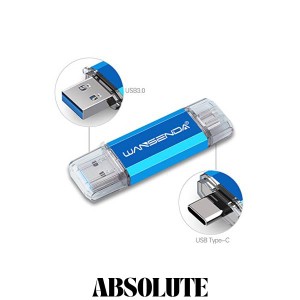 Wansenda Type-C USBメモリスマートフォンとパソコンで使えるType-C USB + USB 3.0両用メモリ (256GB, ブルー)