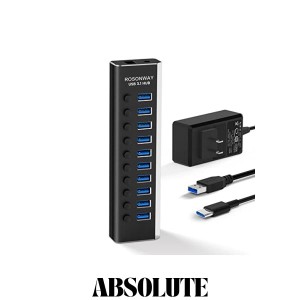 ROSONWAY USB ハブ 3.1 Gen2 10Gbps 10ポートアルミ製 36W USB HUB セルフパワー USBケーブルとType Cケーブル 付き 12V/3A ACアダプタ 