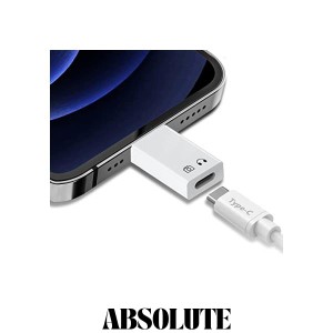 Beraypoo タイプC 変換アダプタ iPhone/iPadに適用 安全充電 データ伝送 USB-C (メス) - iOS (オス) Type-Cジャック接続 変換コネクター 