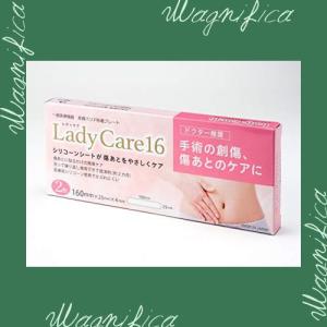 7/0612x31 ギネマム Lady Care16 旧名マムズケア16 2枚入 Amazon.co.jp: ギネマム Lady Care16 レディケア16（旧名