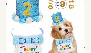 犬 誕生日 帽子 happy birthday バンダナ よだれかけ 数字付き おしゃれ 犬 猫用 ペット 誕生日 帽子 王冠 飾り付け 誕生日グッズ 可愛い