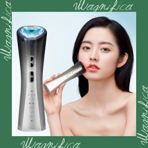 Le Dzx 美顔器 【最新登場 最新冷感エステ技術】美容器 自宅用美顔器 RF美顔器 EMS 微電流 冷感機能 LED 1台多役 6種類モード 3段階レベ