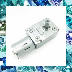 Bringsmart 12V 10RPM DC ミニモーター ギアボックス ウォーム ギヤモーター ギヤード モーター 電気モーター 高トルクセルフロック力リ