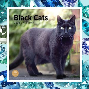 2023 Black Cats Monthly Wall Calendar by Bright Day, 12 x 12 Inch, Kitten Kitty