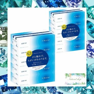 エリエール +Water プラスウォーター 180組360枚×5箱×2個セット ティッシュペーパー まとめ買い おまけつき