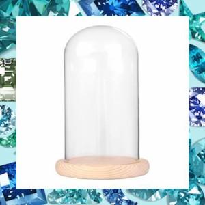 ガラスドーム 透明ガラスドーム 木製ベース ガラスカバー おしゃれガラスドーム ディスプレイケース 小