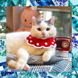 WEILFYONK ペットのヘッドスカーフ、犬の襟、かわいいペットの服ヘッドスカーフスカーフ、子犬の子猫ペット猫ニットスカーフ (L, レッド)