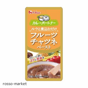 ハウス カレーパートナー フルーツチャツネペースト 40g ×10個