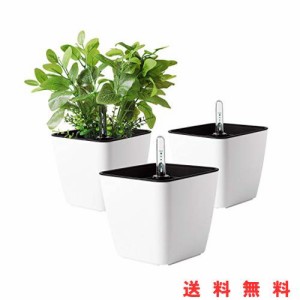 T4U 13.5cm 植木鉢 自己給水プランター 水位計付き 現代風 フラワーポット 観葉植物 多肉植物 花 ハーブ サボテン適用 白 3点セット