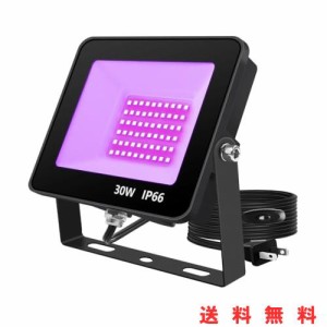 ブラックライト 30W LED投光器 UVライト紫外線投光器 防水IP66 UVレジン 硬化用 3Dモデル乾燥用 パーティー用品 舞台照明 店舗 看板 装飾