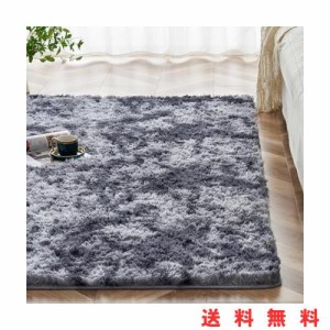 Topfinel カーペット 1畳 120x160cm 濃いグレー 滑り止め 極厚 カーペット クリーナー 付き 防音カーペット ラグ カーペット 夏用 北欧