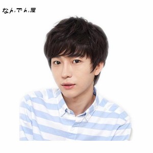 Dreambeauty メンズ ウィッグ 男性 用 かつら ウィッグ ショート メンズ ストレート100%人毛 ？色 男性用フルウィッグ つむじ手植え 普段