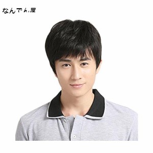 Dreambeauty メンズ ウィッグ 男性用 かつら ショートストレート100%人毛 ？色 男性用フルウィッグ手植えネット普段用短髪 医療用かつら 