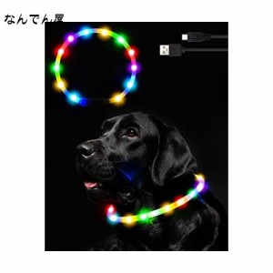 Nayouko 光る首輪 犬 LEDライト USB充電式 軽量 小型犬 中型犬 大型犬 ペット用品 視認距離400mで夜間も安心 サイズ調節可能 (レインボー