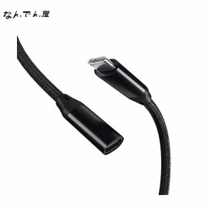 USB Type C 延長ケーブル (3 m, ブラック)LpoieJun タイプc 延長 USB C 延長ケーブル USB 3.1 Gen 2 (10Gbps) 高速データ転送 100W PD急