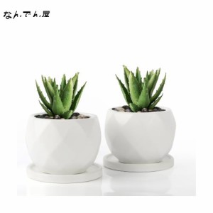 Umlaca 多肉植物 鉢 陶器 植木鉢 小型 底穴あり ミニ植木鉢 サボテン鉢 ミニ 植木鉢 おしゃれ 陶器製トレイ付き 鉢底ネット付き 2点セッ