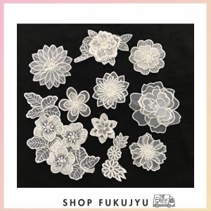 Sweetimes レース生地 刺繍花 縫製 DIY 服 工芸品の装飾 パッチ アップリケ モチーフ 10枚セット アイロン両面接着シート付No.16 (ホワイ