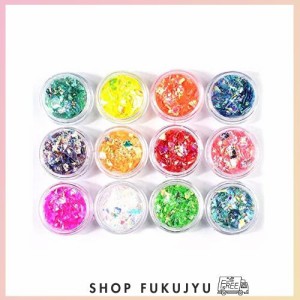 YFFSFDC クラッシュ ホログラム 12色セット ネオンフレーク 素材 手芸 レジン 封入 パーツ ネイルアート ラメフィルム