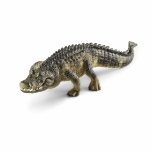 シュライヒ(Schleich) ワイルドライフ アメリカワニ フィギュア 14727