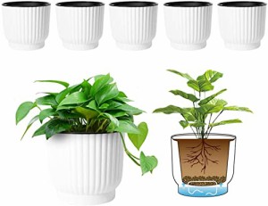 T4U 15CM 給水プランター プラスチック 植木鉢 現代風 観葉植物鉢 ハーブ鉢 花鉢 ホワイト 6点セットインテイア 室内 給水ひも付き