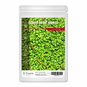 水草の種 mini leaf seed〈ミニリーフシード〉5g アクアリウム 水草絨毯 熱帯魚