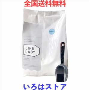 【計量スプーン付】とみおかクリーニング 洗濯用洗剤 オリジナル 詰め替え用 800g 粉 粉末 洗濯洗剤