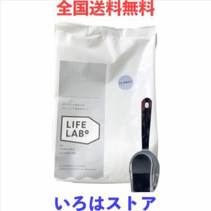 【計量スプーン付】とみおかクリーニング 洗濯用洗剤 フラワー 詰め替え用 800g 粉 粉末 洗濯洗剤