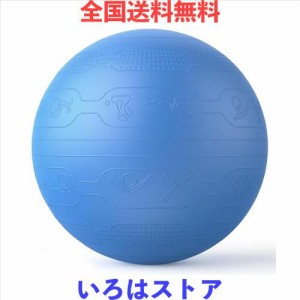 PROIRON バランスボール 65cm ばらんすぼーる トレーニングガイドパターン付き 厚い ジムボール バランスボール 椅子 スポーツ 耐荷重300