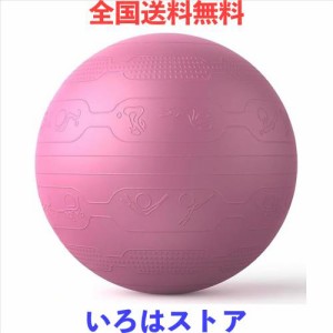 PROIRON バランスボール 65cm ばらんすぼーる トレーニングガイドパターン付き 厚い ジムボール バランスボール 椅子 スポーツ 耐荷重300