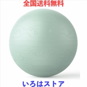 PROIRON バランスボール 65cm ばらんすぼーる トレーニングガイドパターン付き 厚い ジムボール バランスボール 椅子 スポーツ 耐荷重300