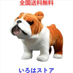 Amazon.co.jp: BABY FRANKIEZHOU イングリッシュブルドッグ